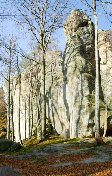 Большой Высокий Камень Осеннем Лесу Скели Довбуша Ивано Франковская Область — стоковое фото
