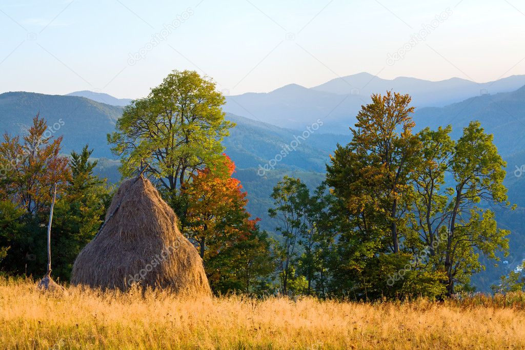 Autumn mountain hill with colorful tree and haystack (Carpathians, Ukraine)