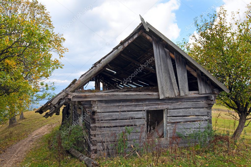 Ruined wood shed on mountain glade