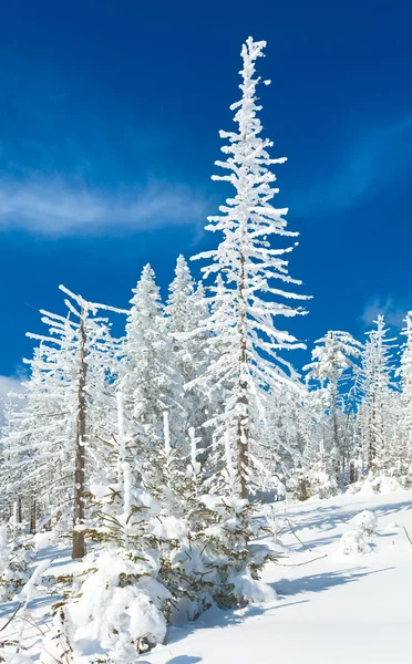 Snowy landscape — Stock Photo, Image