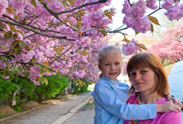 Happy family portrait (mother and daughter) in spring city street with pink japanese cherry trees blossom (Uzhgorod City, Ukraine)