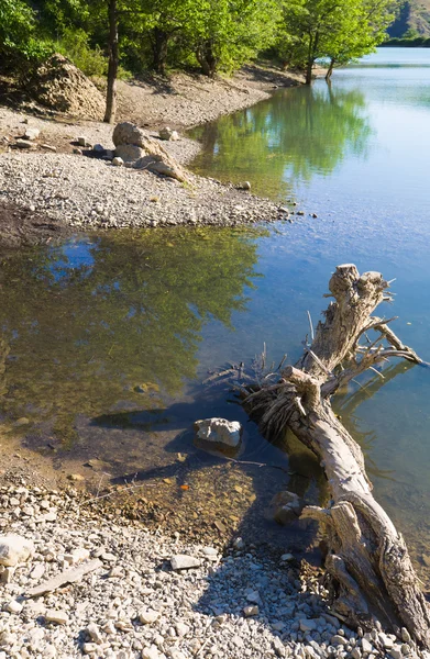 Belo lago de montanha verão — Fotografia de Stock