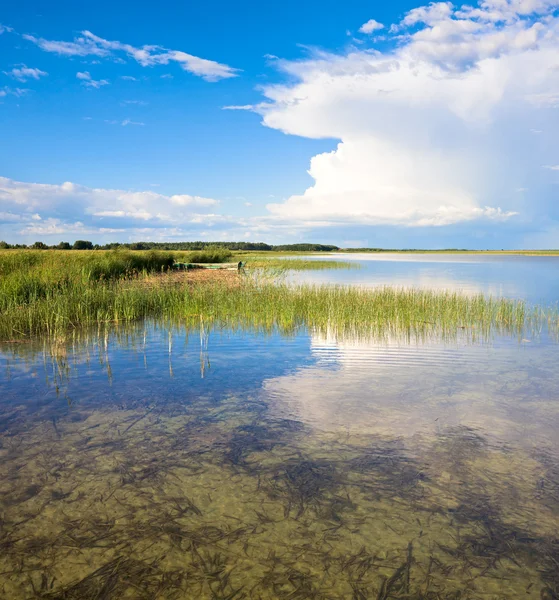 Summer lake panorama. — Stock fotografie