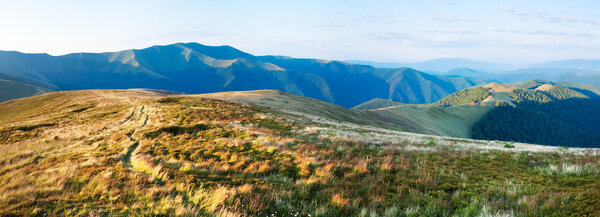 Summer morning mountain landscape with green forest on slope (Ukraine, Carpathian Mountains). Three shots stitch image.