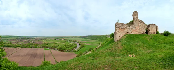 Vue Printemps Sur Les Ruines Château Tchernokozinetsky Village Tchernokozintsy Région — Photo