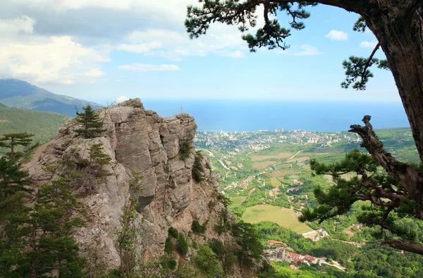 Petri Dağı Kaya Botanik Kırım Ukrayna Çarmıhta Eğim Yalta Şehir — Stok fotoğraf
