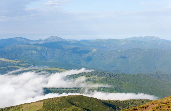 Zomer Bewolkt Berglandschap Oekraïne Karpaten — Stockfoto