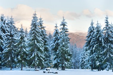 Winter sunset mountain landscape clipart