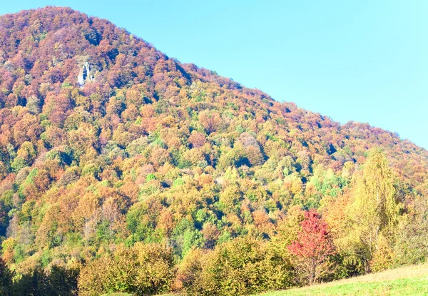 秋の山の森林 — ストック写真