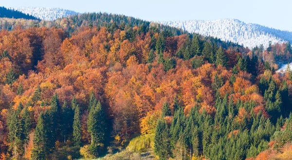 Forêt de montagne d'automne — Photo