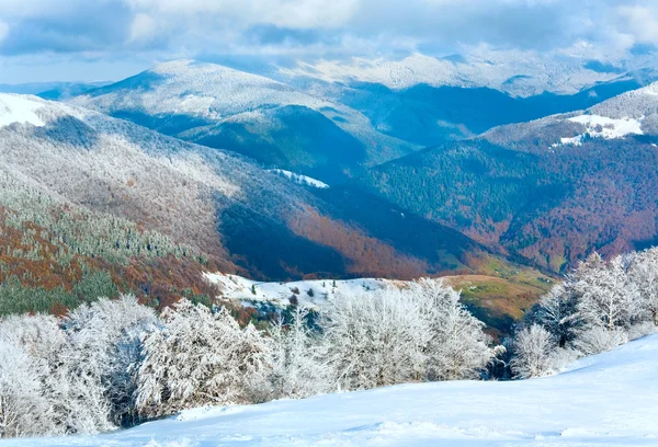First winter snow and mountain beech forest — Stock Photo, Image