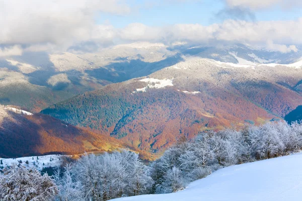 Första vintern snö och berg bokskog — Stockfoto