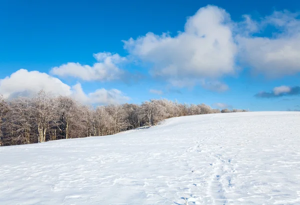 Primeira neve de inverno e floresta de faia de montanha — Fotografia de Stock