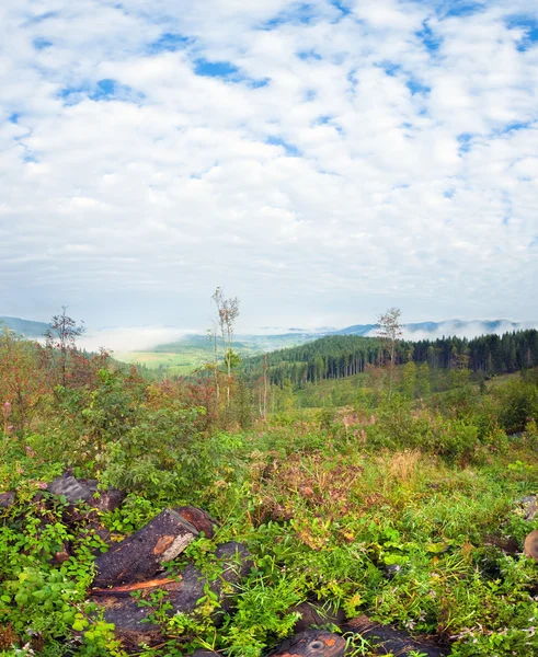 September carpathian berg kulle — Stockfoto
