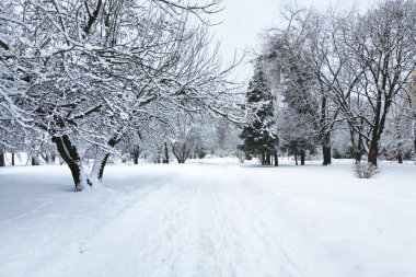 Winter city park clipart