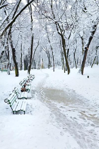 Vinter stadspark — Stockfoto