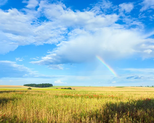Rainbow a letní louka. — Stock fotografie