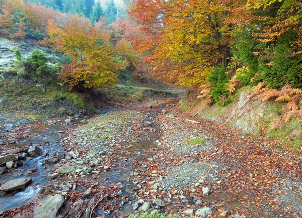 Rotsachtige herfst stream — Stockfoto