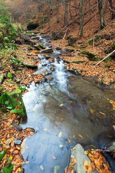 Rocky Autumn Stream — Stock Photo, Image