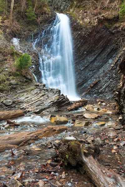 Cachoeira e riacho na ravina da floresta de montanha — Fotografia de Stock