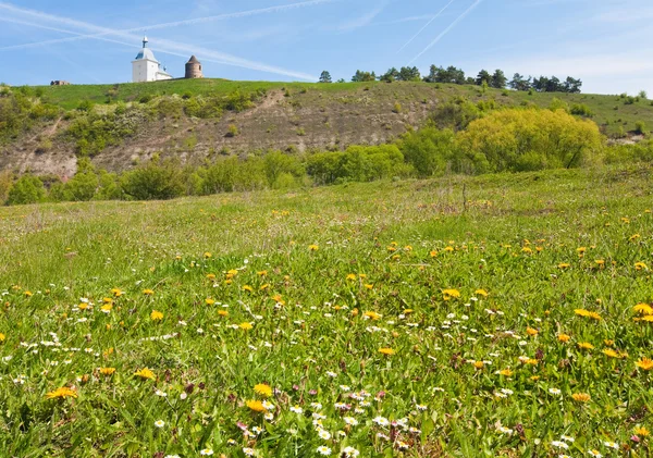 Весна квітуче поле і стародавня фортеця і церква позаду — стокове фото