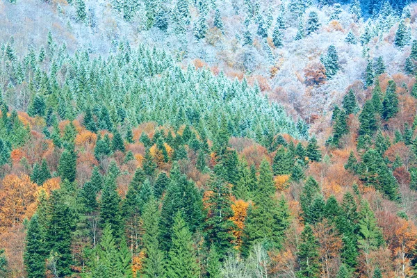 Осінній ліс гора — стокове фото