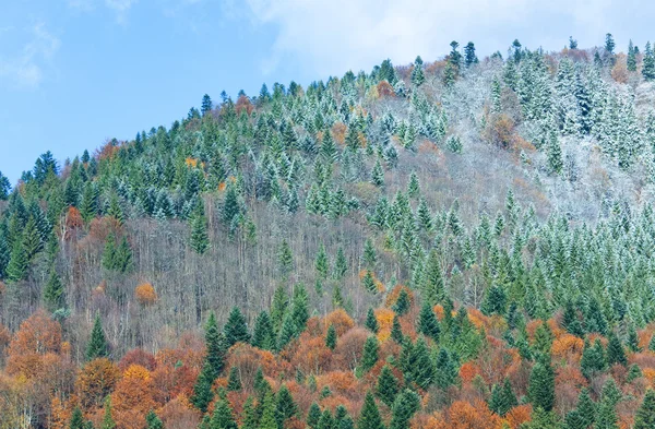 Podzimní horský Les — Stock fotografie