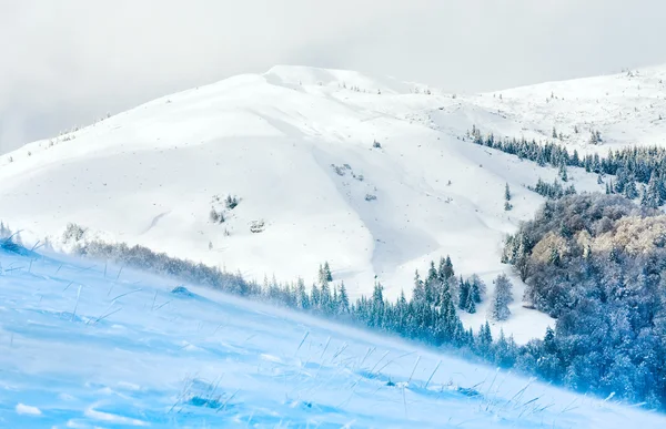 Зимний снежный и ветреный вид на горы — стоковое фото