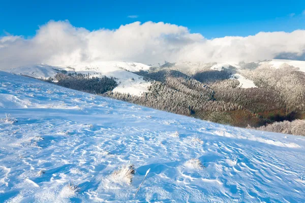 Erster Schnee im Winter und im letzten Herbst buntes Laub im Berg — Stockfoto