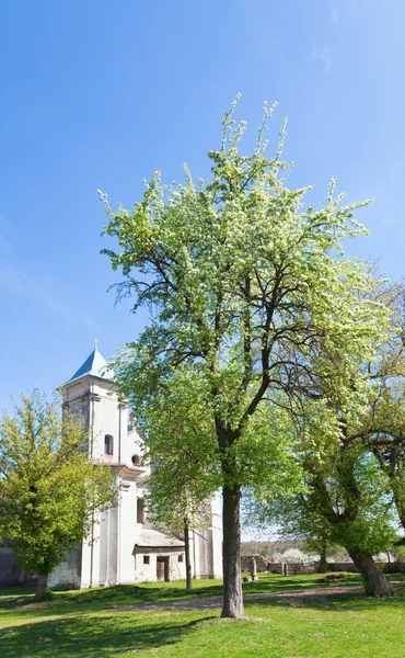Gamla kyrkan (sydoriv by, ternopil region, Ukraina) — Stockfoto