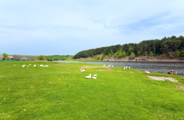 Bahar country peyzaj