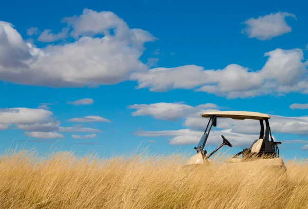Golf cart hidden — Stock Photo, Image