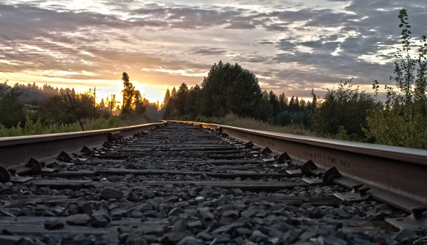 Idaho Tracks — Stock Photo, Image