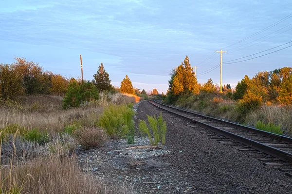 Idaho Tracks — Stockfoto