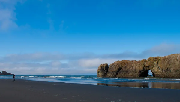 Stock image Oregon Coast