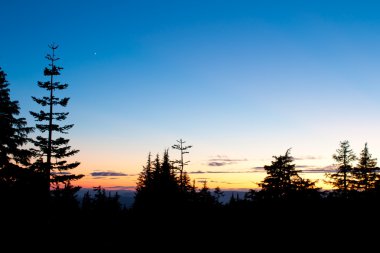 gün batımı silhouettes