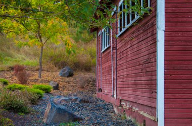 The side of a very old barn in nrthen Idaho early october starting fall clipart