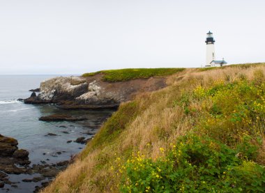 Yaquina Head lighthouse in Newport, Oregon clipart