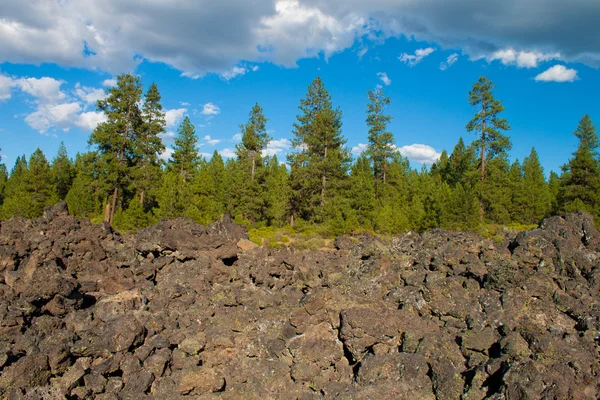 Bizonyíték Egy Vulkánkitörés Régen Newberry Láva Nemzeti Emlékmű Oregon — Stock Fotó