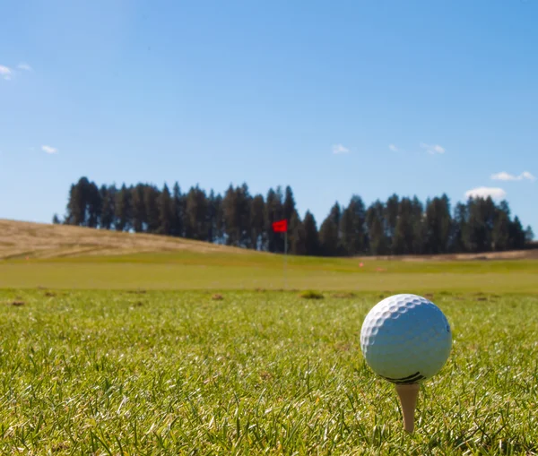 Largo Día Campo Golf Idaho —  Fotos de Stock