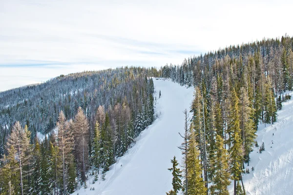 冬季时间在考虑从顶部的一个滑雪胜地的 Omntana — 图库照片