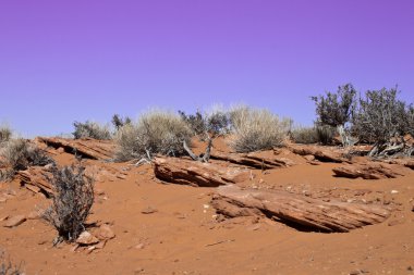 High desert in Utah with colorful sand and skies clipart