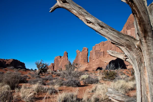 Arches National Park — Stock Photo, Image