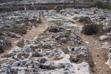 Clapham Junction in Malta - cart ruts in - the mysterious site clipart