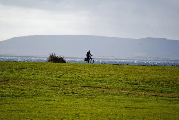 Un campo en algún lugar de Irlanda — Foto de Stock
