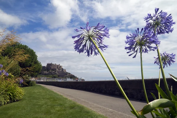 Exotische Blumen rahmen das Schloss orgueil auf Jersey ein — Stockfoto