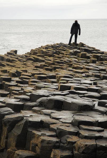 A Giant's Causeway magányos alak — Stock Fotó