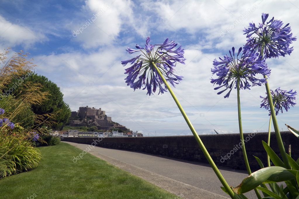 jersey flowers jersey flowers