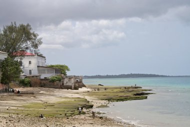 Water's edge on Zanzibar clipart