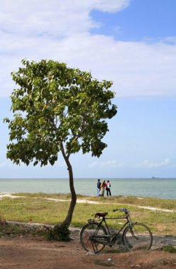 Afrika scene
